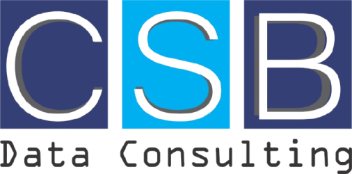 CSB Data Consulting